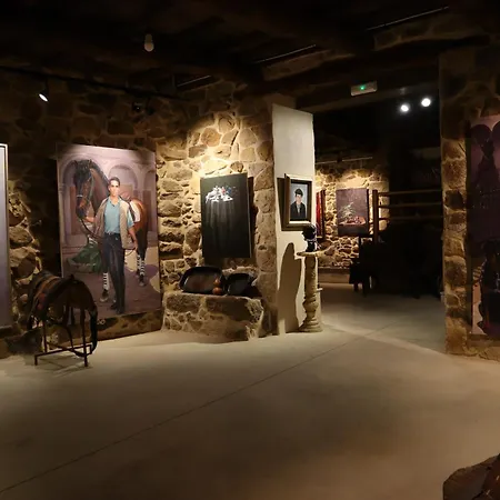 Apartment Casa-museo Genia Trigo