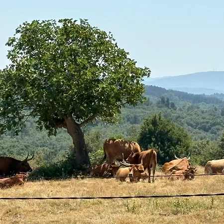Casa-museo Genia Trigo