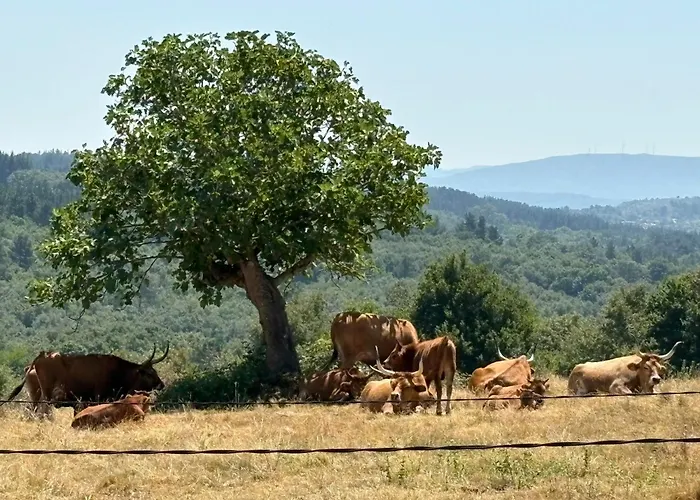 Casa-museo Genia Trigo